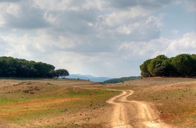 paisaje natural con montanas de fondo